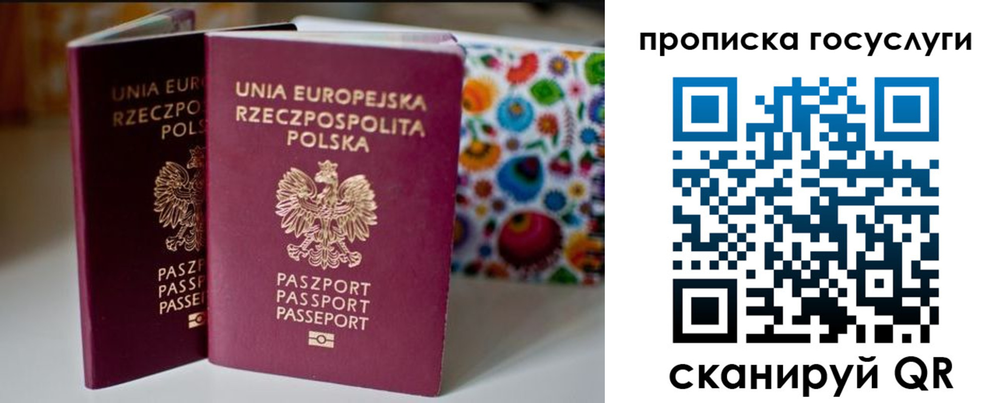 пропишу в квартире в Владимирской области